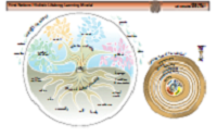 First Nations Model